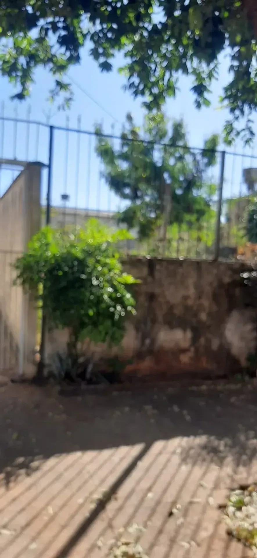 Casa com 3 Quartos à venda, 150m² - Setor Sudoeste