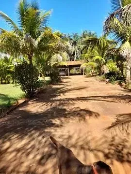 Fazenda/Sítio com 5 Quartos à venda, 300m² - Chácaras Vargem Bonita II