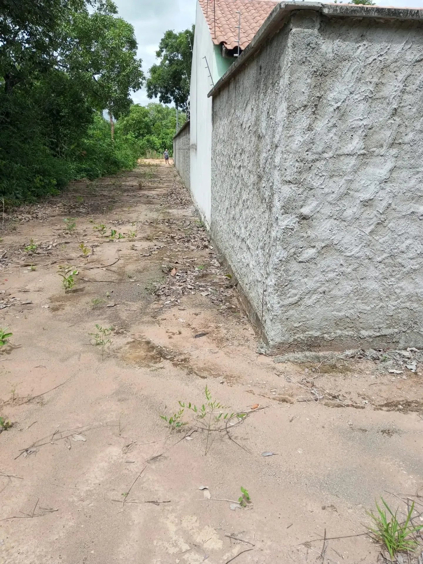 Foto 16