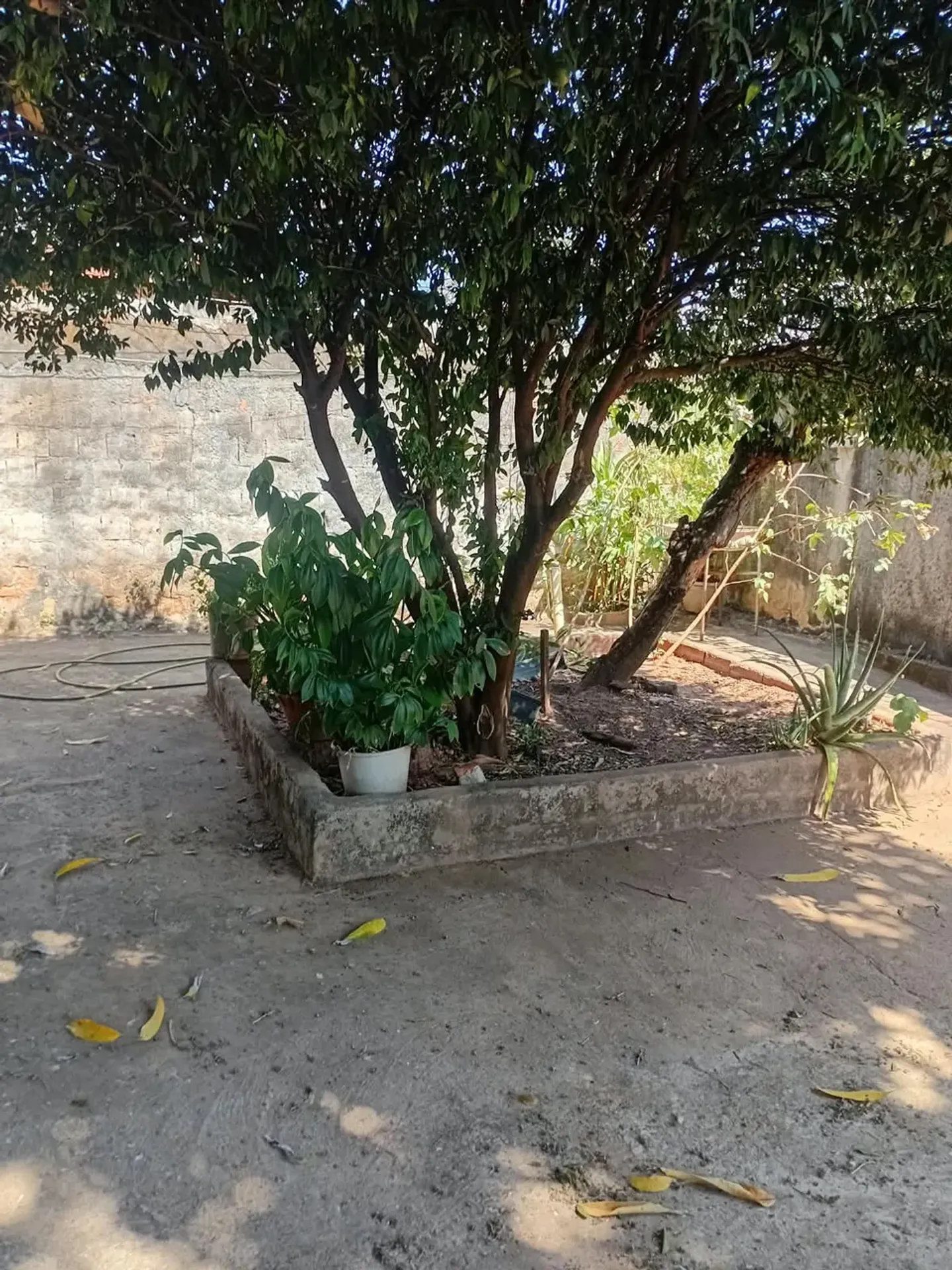 Foto 13