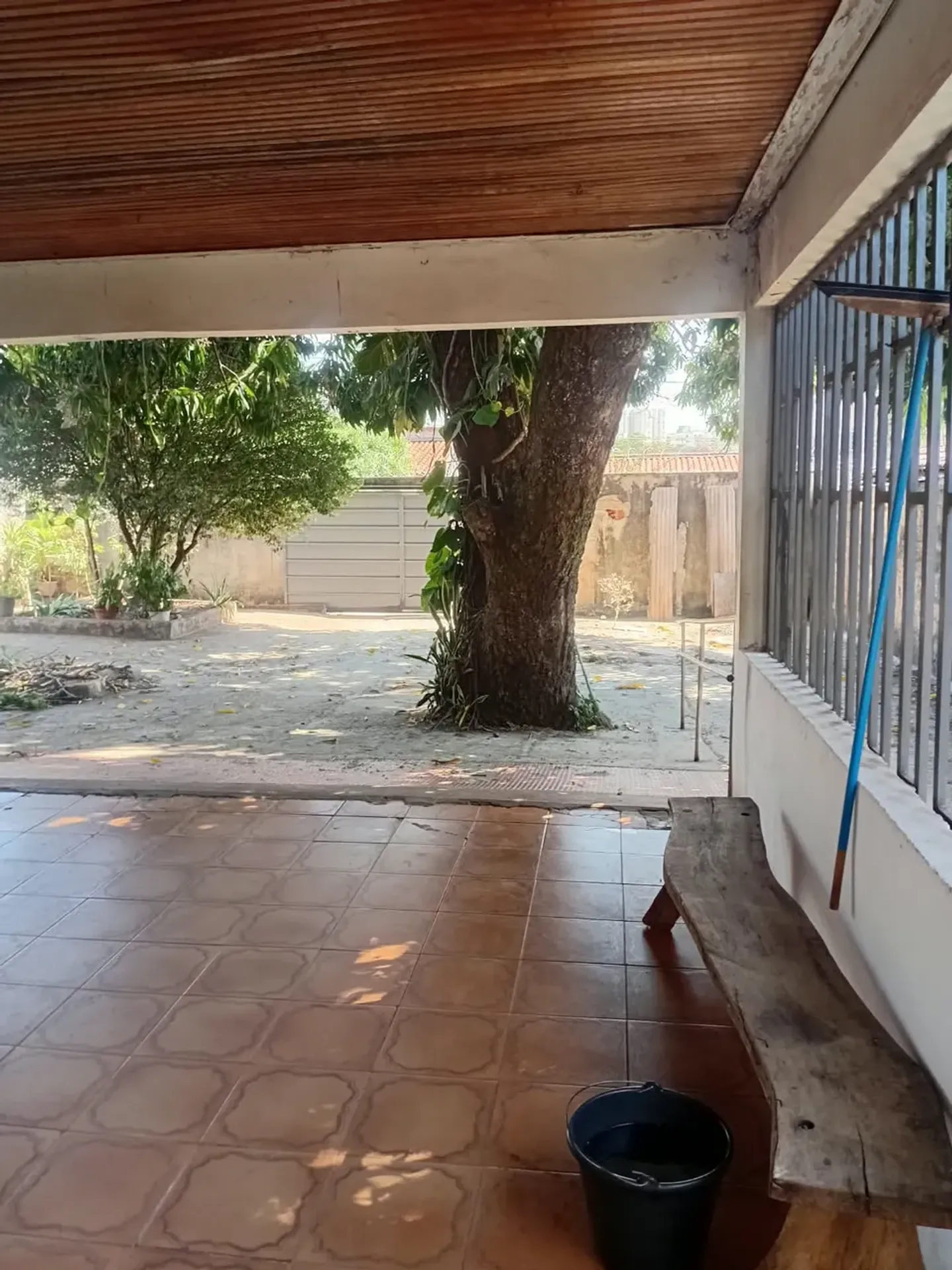 Foto 12
