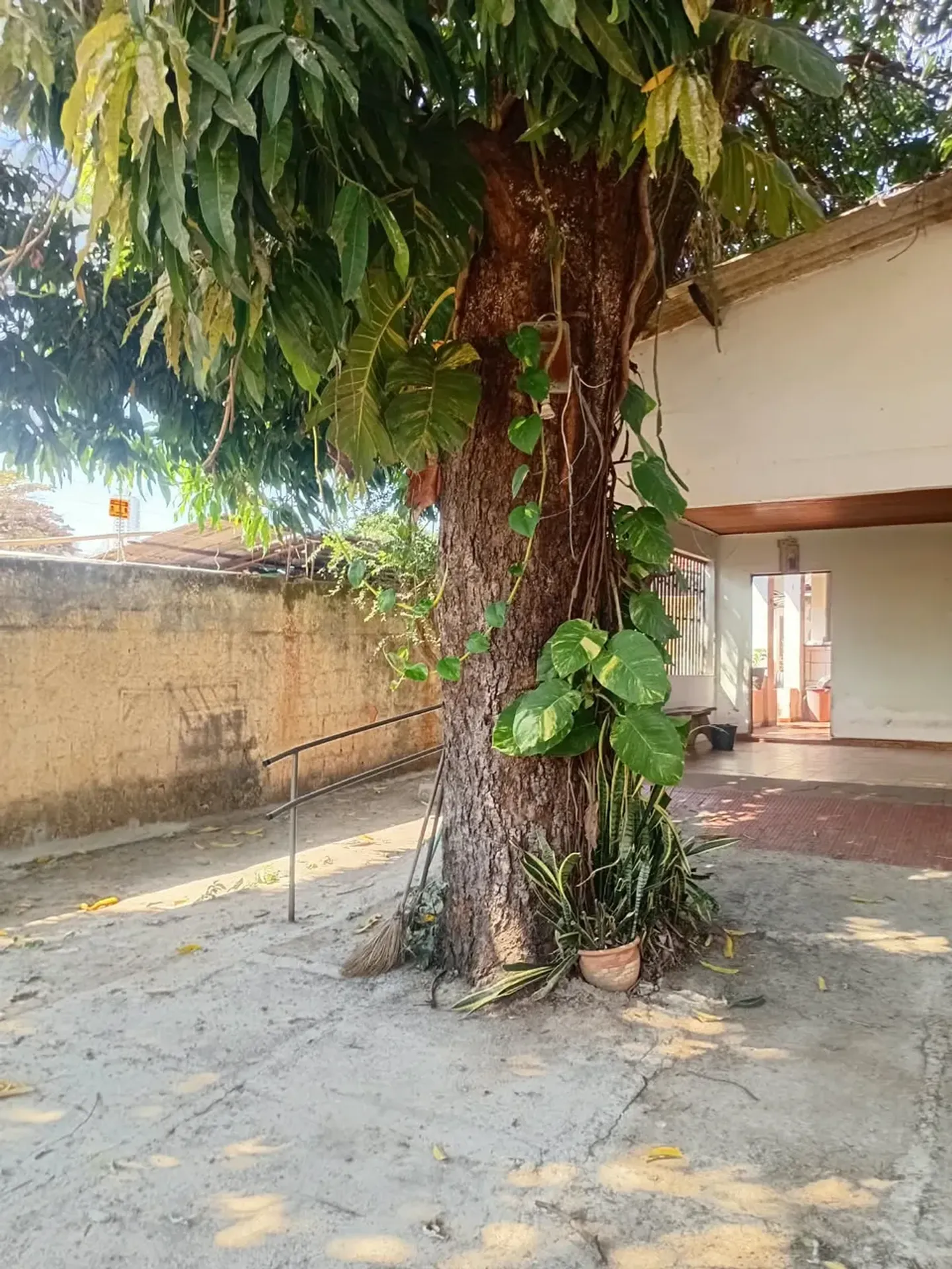 Casa com 3 Quartos para alugar, 120m² - Setor Pedro Ludovico