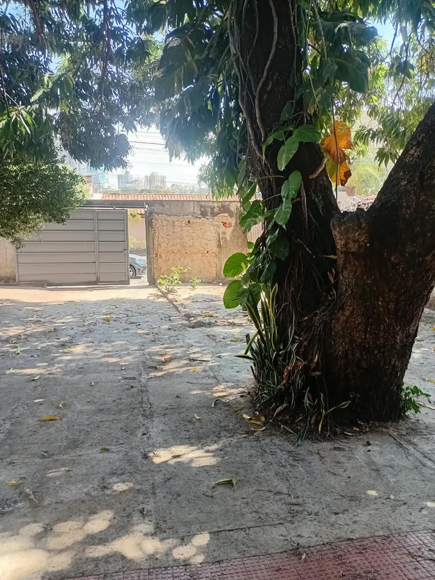 Foto 11