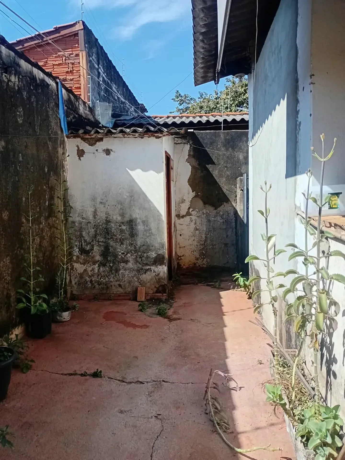 Foto 14